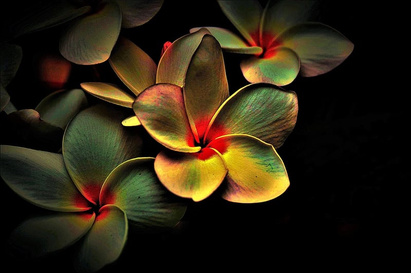 Complexity Image